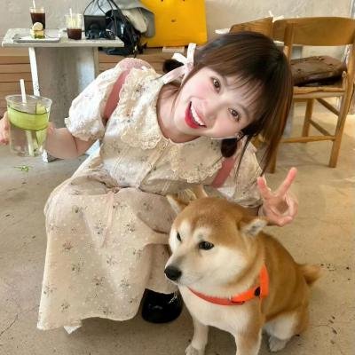 家有杂饼